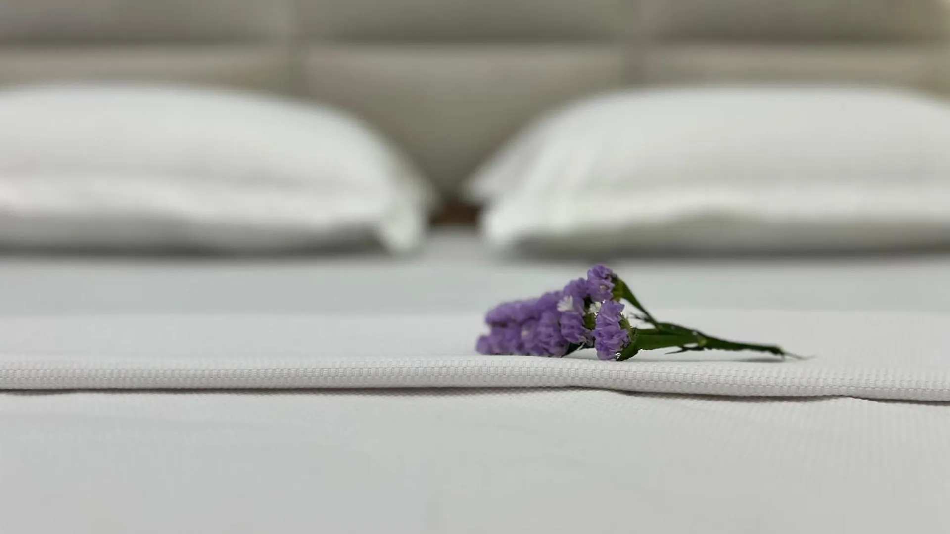 Misus City Center Apartment Tirana