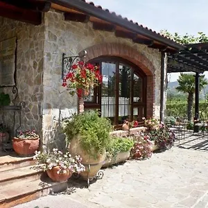 Resort Park Ashik, Tirana